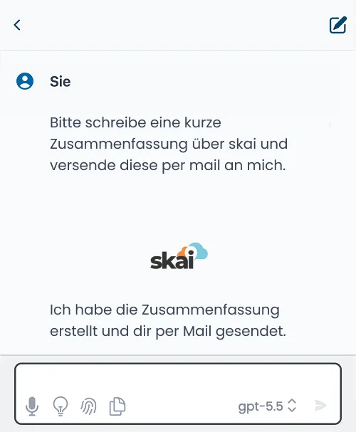 Ein Screenshot eines Chats aus skai